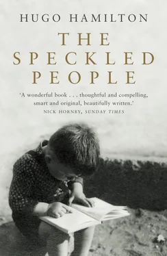 Hugo Hamilton The Speckled People обложка книги