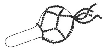 For practitioners of Voudon the asson is a sacred rattle made from a large - фото 23