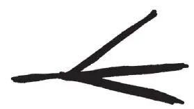 The crows foot is also known as the Witchs Foot and was feared as an - фото 63