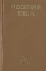 Анна Брэдстрит - Поэзия США