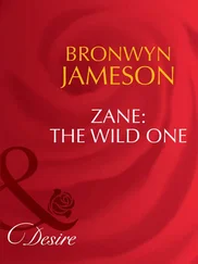 Bronwyn Jameson - Zane - The Wild One