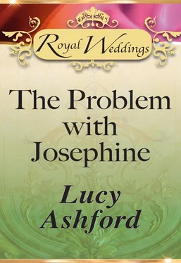 Lucy Ashford The Problem with Josephine обложка книги
