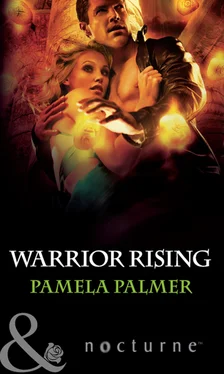 Pamela Palmer Warrior Rising обложка книги