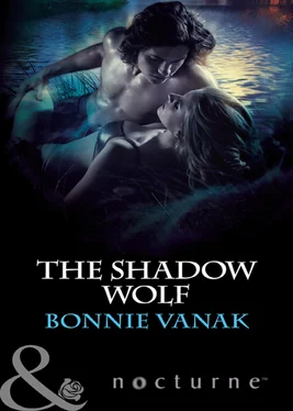 Bonnie Vanak The Shadow Wolf обложка книги