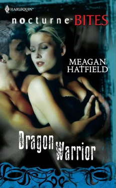 Meagan Hatfield Dragon Warrior обложка книги