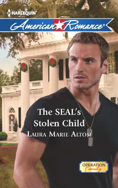 Laura Marie The SEAL's Stolen Child обложка книги