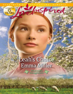 Emma Miller Leah's Choice обложка книги