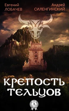 Андрей Силенгинский Крепость Тельцов обложка книги