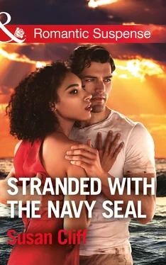 Susan Cliff Stranded With The Navy Seal обложка книги