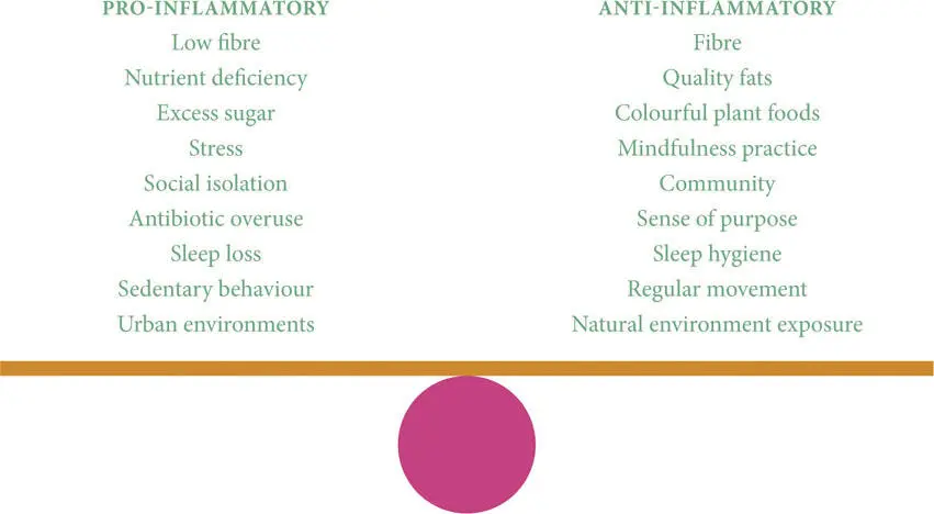 While I want you to appreciate the importance of inflammation as a necessary - фото 22
