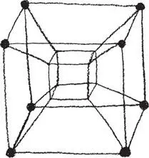 Then Ruby hit her buzzer Redfort you have the diagram Yes she said - фото 24
