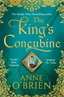 Anne O'Brien The King's Concubine обложка книги