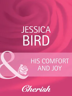 Jessica Bird His Comfort and Joy обложка книги