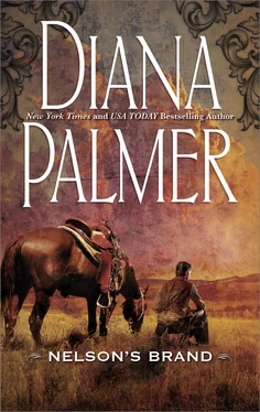 Diana Palmer Nelson's Brand обложка книги