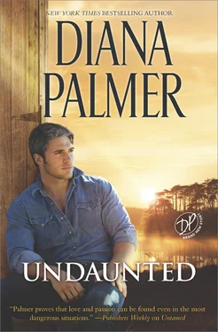 Diana Palmer Undaunted обложка книги