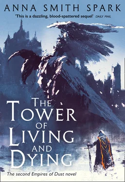 Anna Smith Spark The Tower of Living and Dying обложка книги