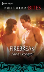 Anna Leonard - Firebreak