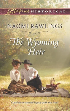 Naomi Rawlings The Wyoming Heir обложка книги