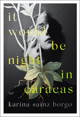 Karina Sainz Borgo It Would Be Night in Caracas обложка книги