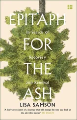 Lisa Samson - Epitaph for the Ash
