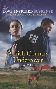 Katy Lee Amish Country Undercover обложка книги
