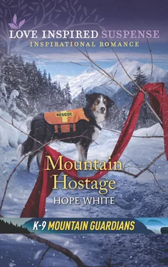 Hope White Mountain Hostage обложка книги