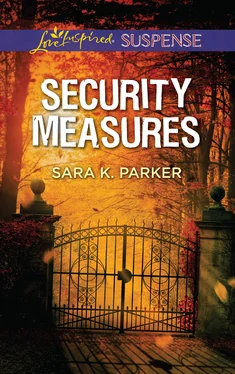 Sara K. Parker Security Measures обложка книги