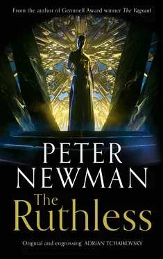 Peter Newman The Ruthless обложка книги