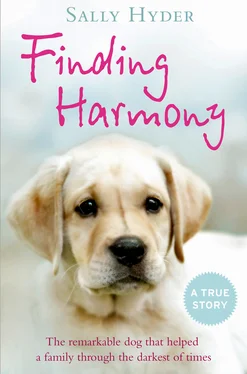 Sally Hyder Finding Harmony обложка книги
