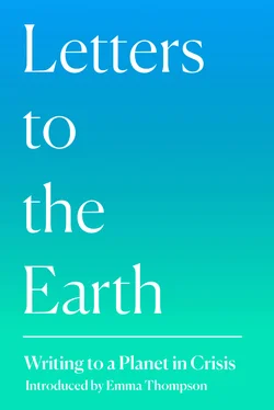 Неизвестный Автор Letters to the Earth обложка книги