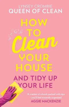 Lynsey, Queen of Clean How To Clean Your House обложка книги