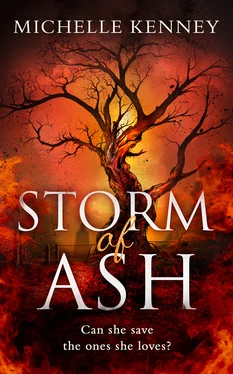 Michelle Kenney Storm of Ash обложка книги