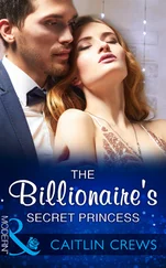 Caitlin Crews - The Billionaire's Secret Princess