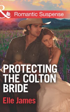 Elle James Protecting the Colton Bride обложка книги