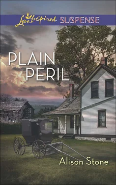 Alison Stone Plain Peril обложка книги