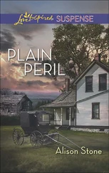 Alison Stone - Plain Peril