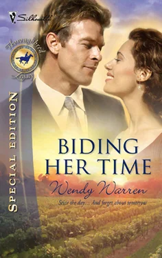 Wendy Warren Biding Her Time обложка книги