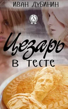 Иван Дубинин Цезарь в тесте обложка книги