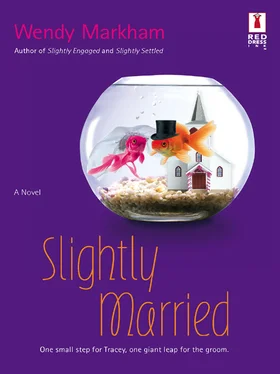 Wendy Markham Slightly Married обложка книги