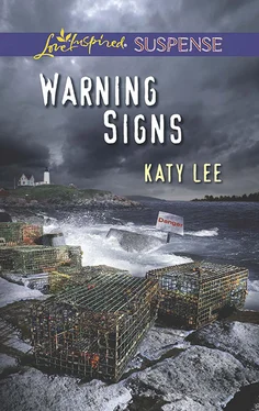Katy Lee Warning Signs обложка книги