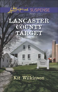 Kit Wilkinson Lancaster County Target обложка книги