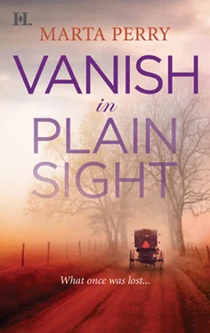 Marta Perry Vanish in Plain Sight обложка книги