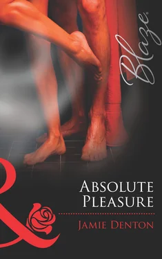 Jamie Denton Absolute Pleasure обложка книги