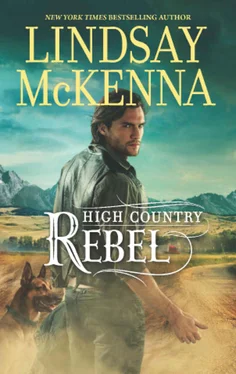 Lindsay McKenna High Country Rebel обложка книги