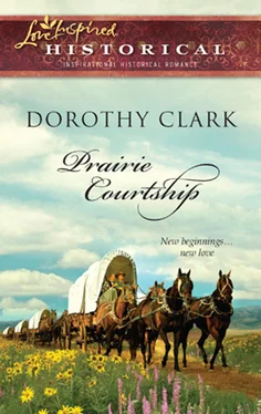 Dorothy Clark Prairie Courtship обложка книги