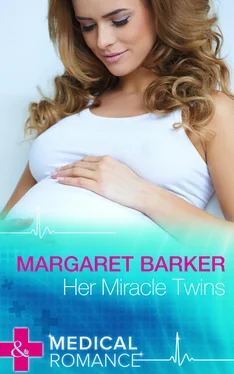 Margaret Barker Her Miracle Twins обложка книги