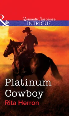 Rita Herron Platinum Cowboy обложка книги