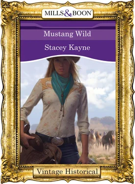 Stacey Kayne Mustang Wild обложка книги