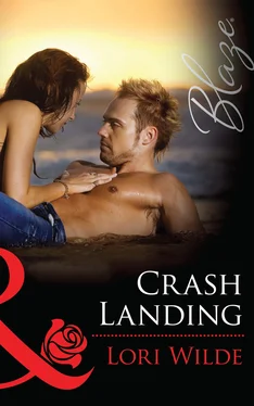 Lori Wilde Crash Landing обложка книги