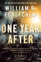 William Forstchen - One Year After